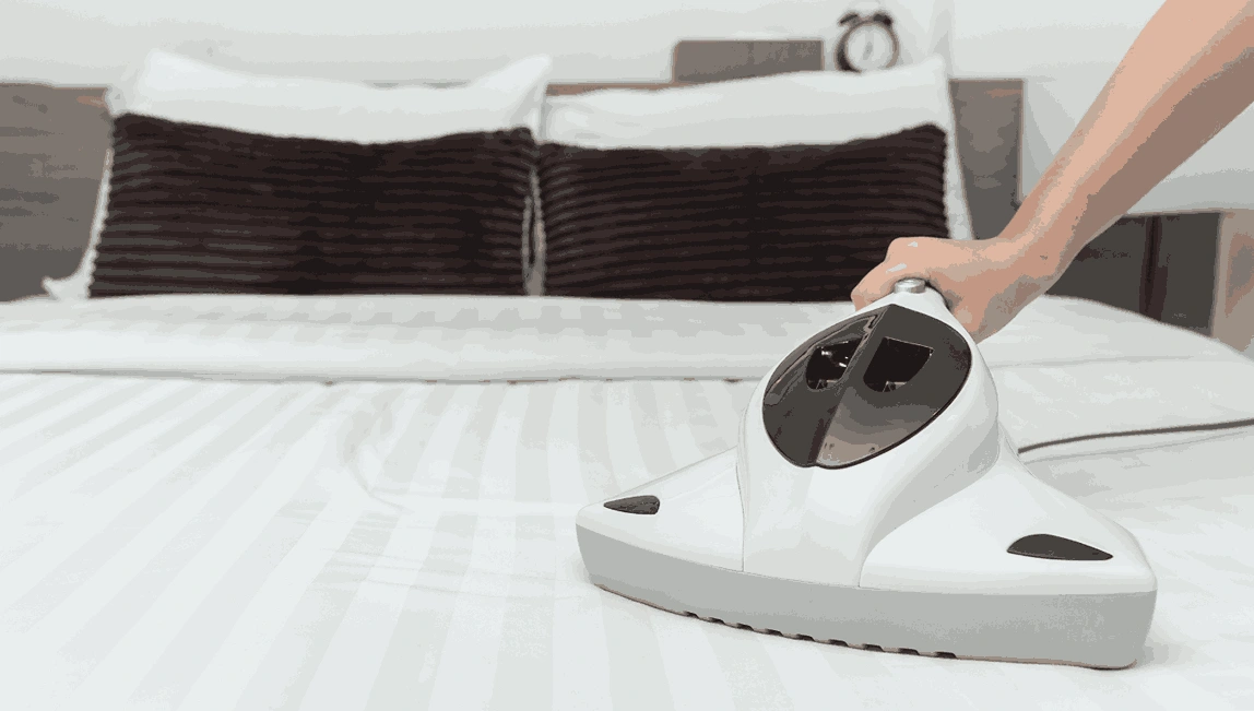 Professional Mattress Cleaning Gladstone Park